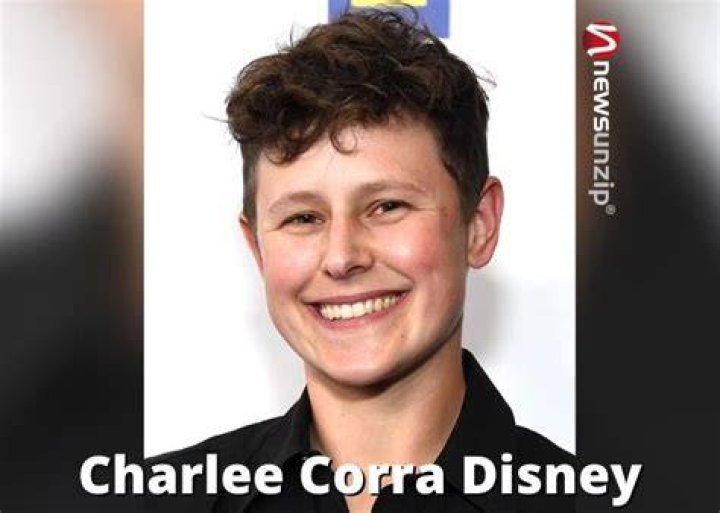 
Charlee Corra Disney Height, Weight, Net Worth, Age, Birthday, Wikipedia, Who, Nationality, Biography 