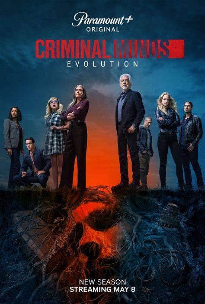 How Many Seasons of ‘Criminal Minds’ Are on Netflix?