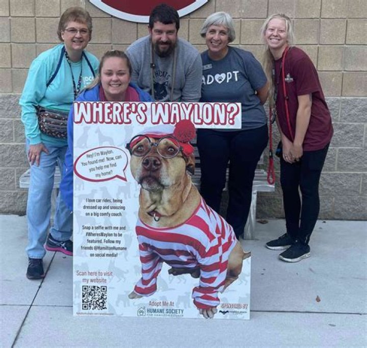 
Ind. Community Starts ‘Where’s Waylon?’ Project to Help Dog Waiting in Shelter Over 600 Days 