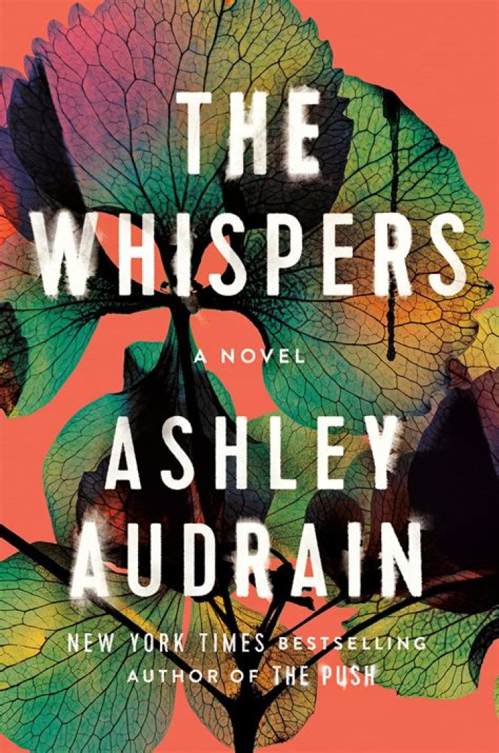 
Joshua McPheron Age, Birthday, Wikipedia, Who, Nationality, Biography 