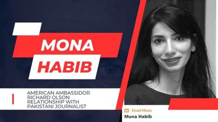 Mona Habib Journalist Wikipedia Age | Alleged Relationship With Richard Olson