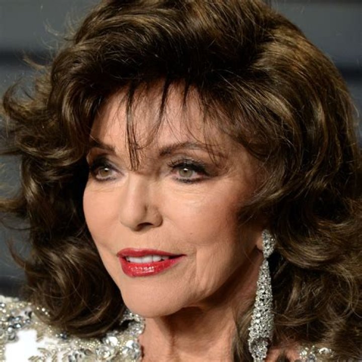 
Petra Collins Height, Weight, Net Worth, Age, Birthday, Wikipedia, Who, Nationality, Biography 