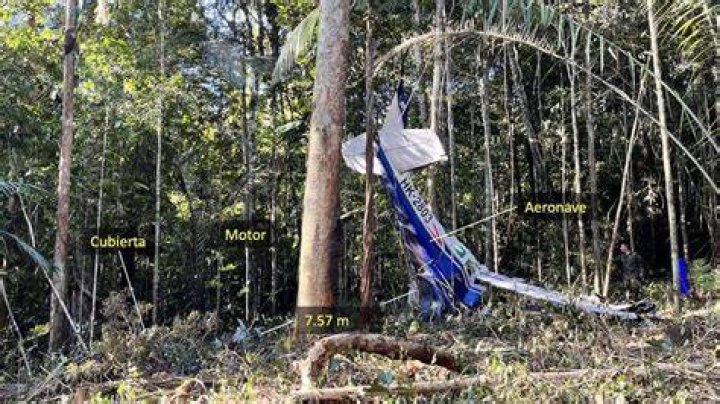 
SecondDeath of Courtney Mahar Confirmed In Amazon Crash, What We Know About The Victim 