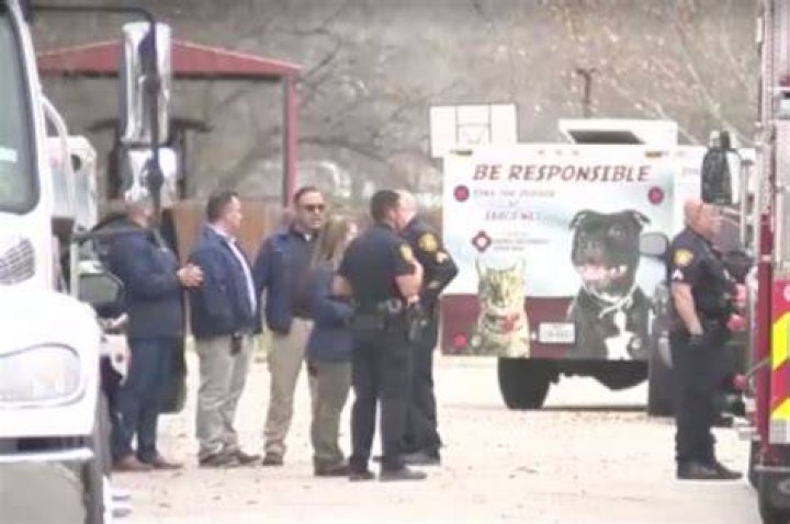 
Video shows first responders fighting dogs that killed an 80-year-old and left 3 injured in San Antonio 