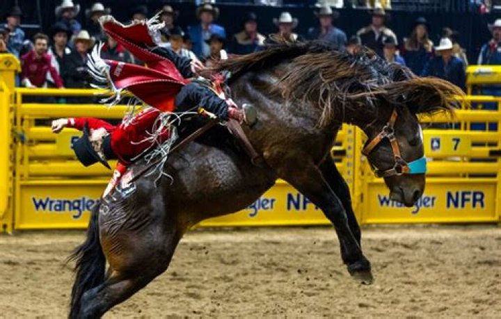 What Did Rocker Steiner Say About the NFR 2022? Controversy Explain